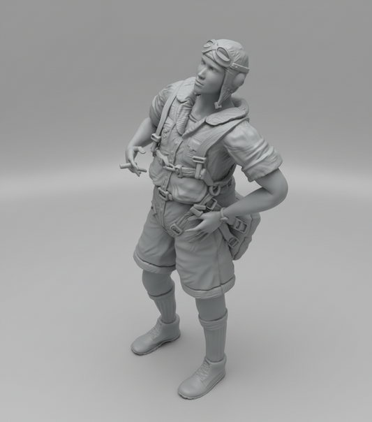 WWII - Pilote RAF/USAAF – Campagne d’Afrique