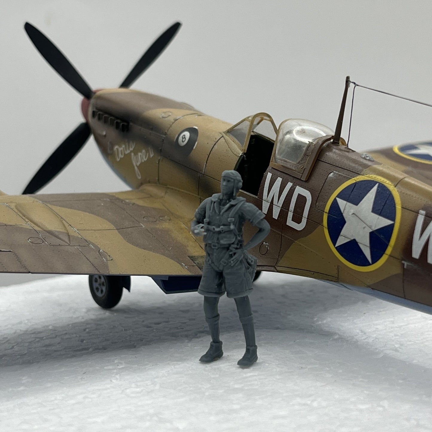 WWII - Pilote RAF/USAAF – Campagne d’Afrique