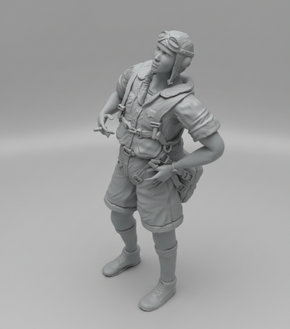 WWII - Pilote RAF/USAAF – Campagne d’Afrique