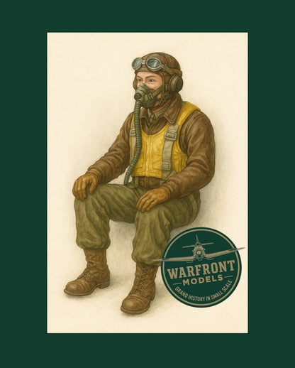 WWII - USAAF Pilot in Cockpit